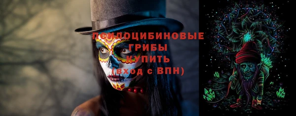 молекула духа Алексеевка