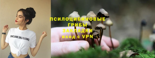 молекула духа Алексеевка