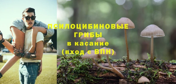 молекула духа Алексеевка