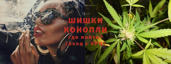 спайс Алзамай