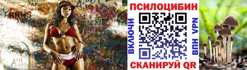 Псилоцибиновые грибы Psilocybe  Купить закладки  Нижняя Тура 